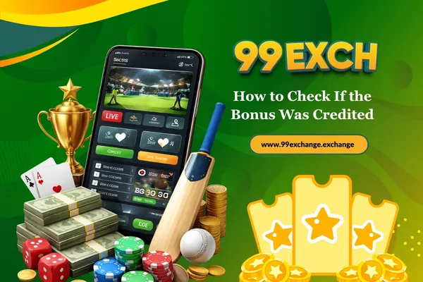 How to Check If the Bonus Was Credited